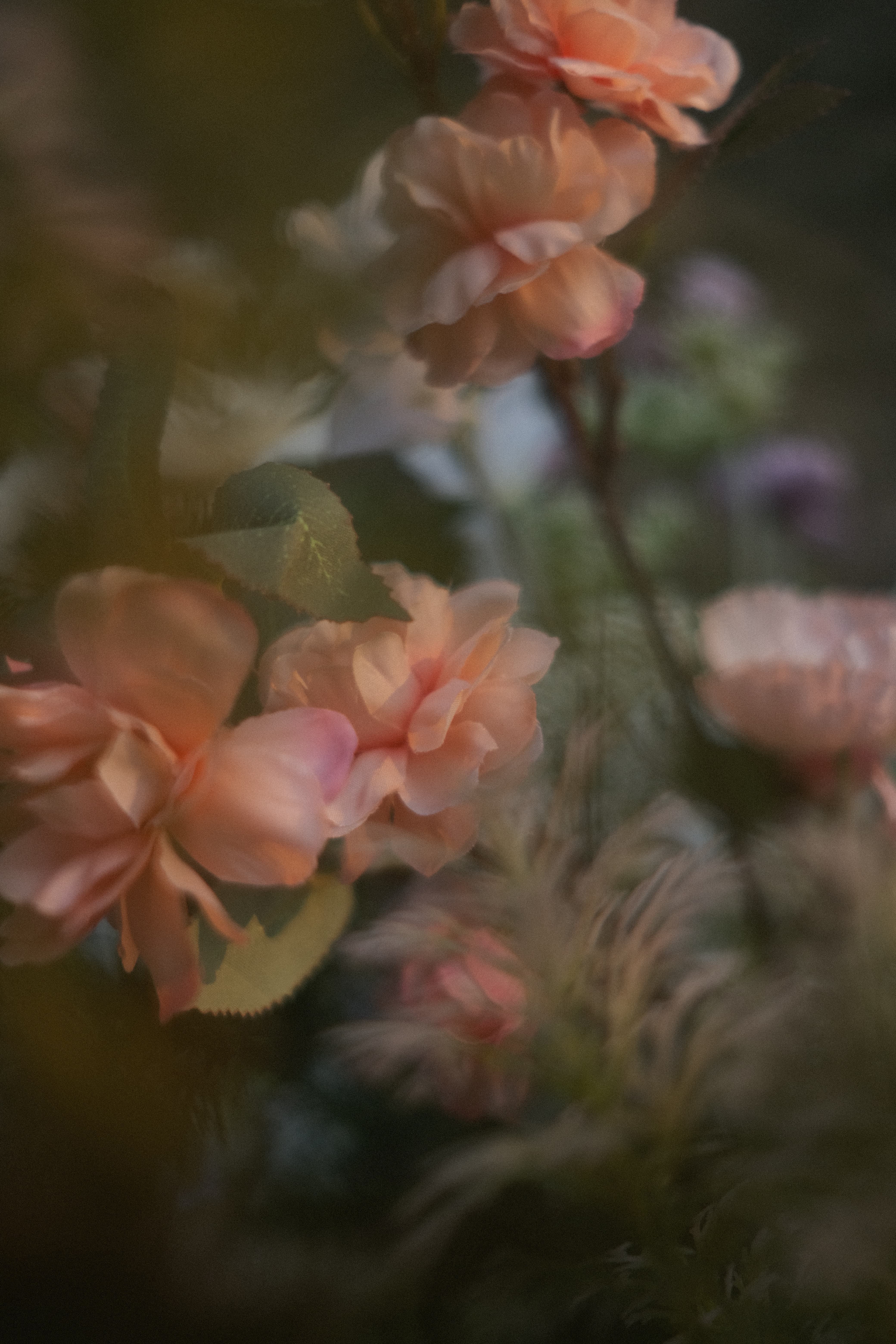 Close-up of peach silk roses in an aisle marker