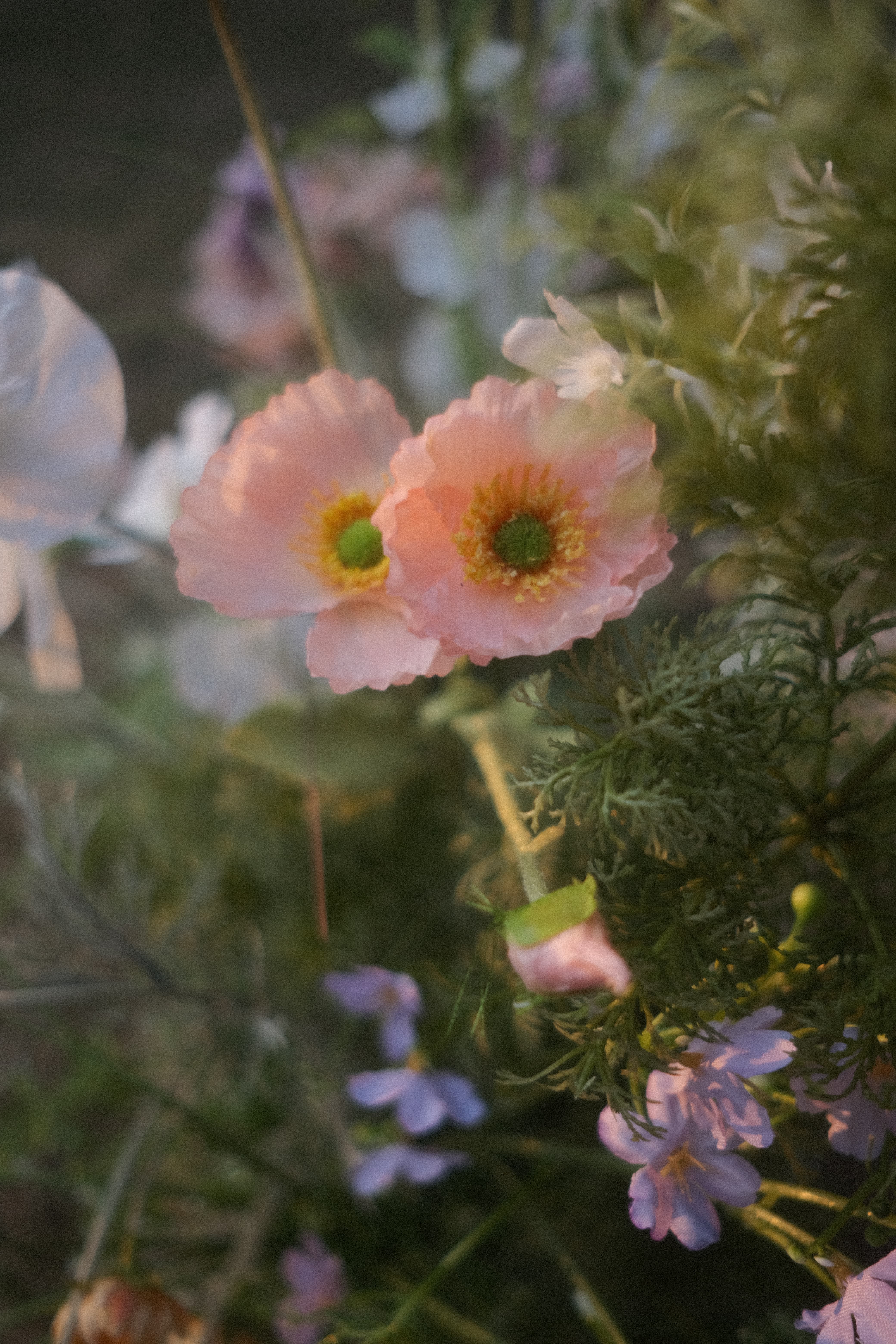 Pink poppies and lavender in a marker arrangement
